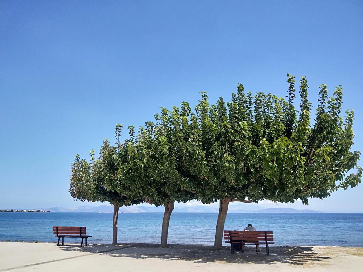 Artemis Apartment,beach Two-bedroom Apartment Artemida (Attica)